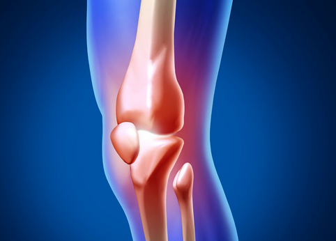 膝盖疼痛可以吃软骨素吗